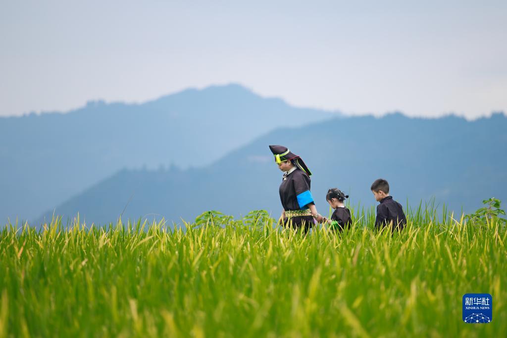 世爵用户登录平台